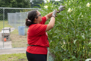 Kennedy Wright working in the garden at Brookdale Resource Center