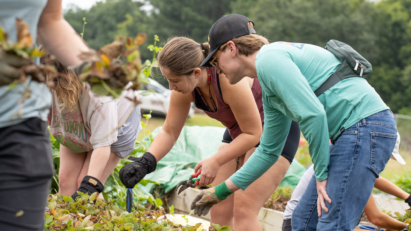 post: Mercer Law at Brookdale Resource Center